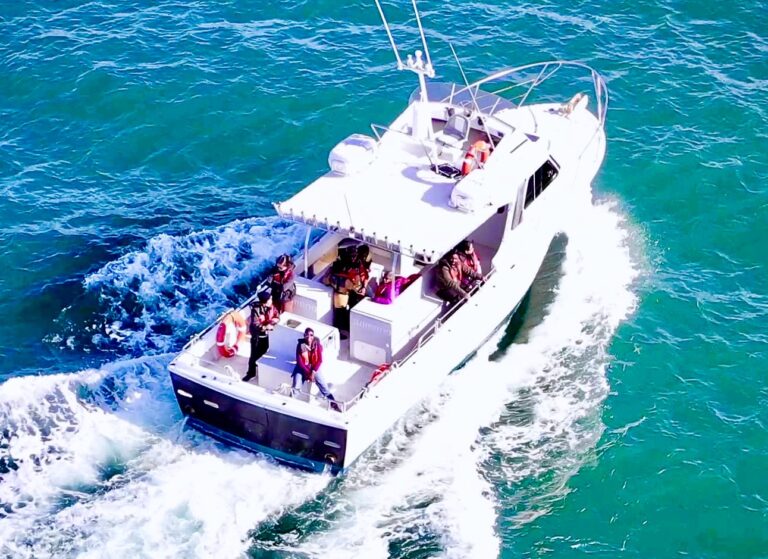 Whale watching boat